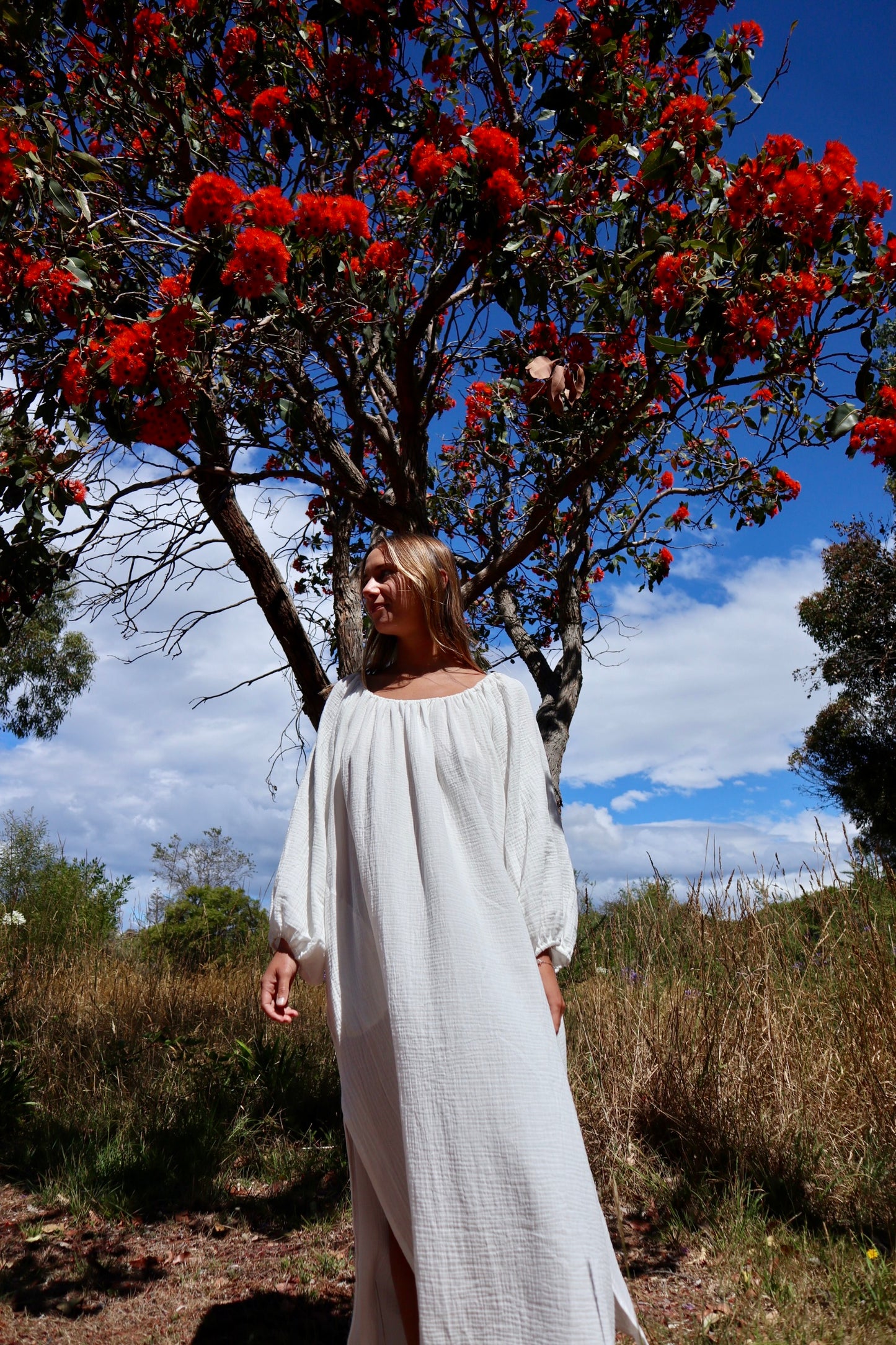 The Hera Dress